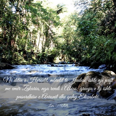 Picture 03 - Luka 1:5 ALB - Në ditën e Herodit, mbretit të Judesë, ishte - Bible Verse Picture