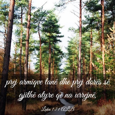 Picture 03 - Luka 1:71 ALB - prej armiqve tanë dhe prej dorës së gjithë - Bible Verse Picture