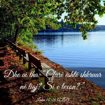 Picture 03 - Luka 10:26 ALB - Dhe ai tha: “Çfarë është shkruar në ligj? - Bible Verse Picture
