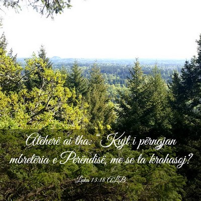 Picture 03 - Luka 13:18 ALB - Atëherë ai tha: “Kujt i përngjan mbretëria - Bible Verse Picture