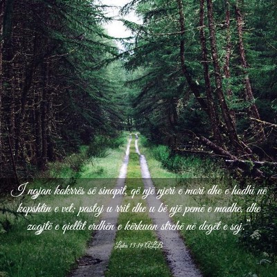 Picture 03 - Luka 13:19 ALB - I ngjan kokrrës së sinapit, që një njeri e - Bible Verse Picture