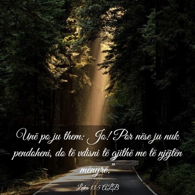 Picture 03 - Luka 13:5 ALB - Unë po ju them: Jo! Por nëse ju nuk pendoheni, - Bible Verse Picture