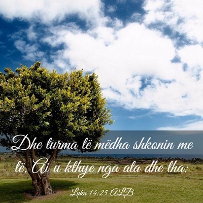 Picture 03 - Luka 14:25 ALB - Dhe turma të mëdha shkonin me të. Ai u kthye - Bible Verse Picture