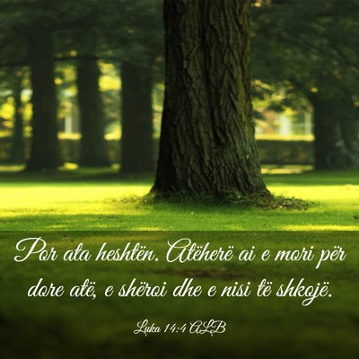 Picture 03 - Luka 14:4 ALB - Por ata heshtën. Atëherë ai e mori për dore - Bible Verse Picture