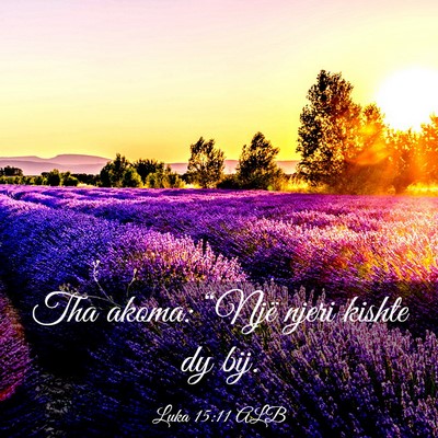 Picture 03 - Luka 15:11 ALB - Tha akoma: “Një njeri kishte dy - Bible Verse Picture