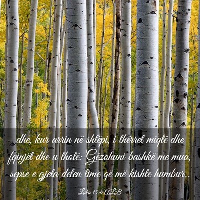Picture 03 - Luka 15:6 ALB - dhe, kur arrin në shtëpi, i thërret miqtë dhe - Bible Verse Picture