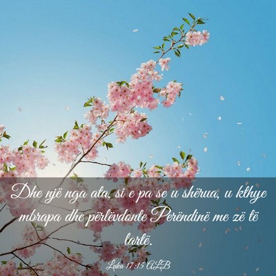 Picture 03 - Luka 17:15 ALB - Dhe një nga ata, si e pa se u shërua, u kthye - Bible Verse Picture