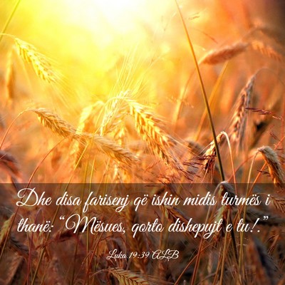 Picture 03 - Luka 19:39 ALB - Dhe disa farisenj që ishin midis turmës i - Bible Verse Picture