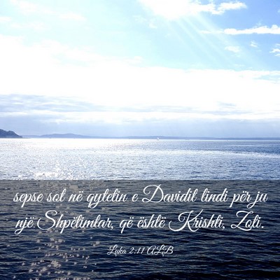 Picture 03 - Luka 2:11 ALB - sepse sot në qytetin e Davidit lindi për ju - Bible Verse Picture