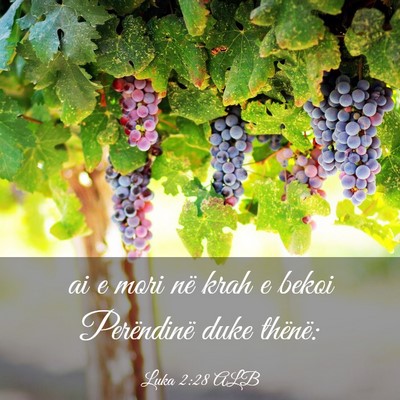 Picture 03 - Luka 2:28 ALB - ai e mori në krah e bekoi Perëndinë duke - Bible Verse Picture
