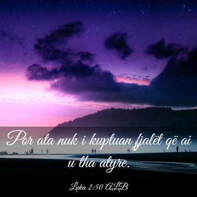 Picture 03 - Luka 2:50 ALB - Por ata nuk i kuptuan fjalët që ai u tha - Bible Verse Picture