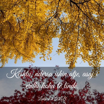 Picture 03 - Luka 2:6 ALB - Kështu, ndërsa ishin atje, asaj i erdhi koha - Bible Verse Picture