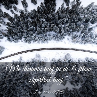 Picture 03 - Luka 21:19 ALB - Me durimin tuaj ju do t’i fitoni shpirtrat - Bible Verse Picture