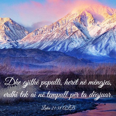 Picture 03 - Luka 21:38 ALB - Dhe gjithë populli, herët në mëngjes, erdhi - Bible Verse Picture