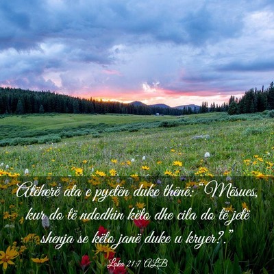 Picture 03 - Luka 21:7 ALB - Atëherë ata e pyetën duke thënë: “Mësues, - Bible Verse Picture