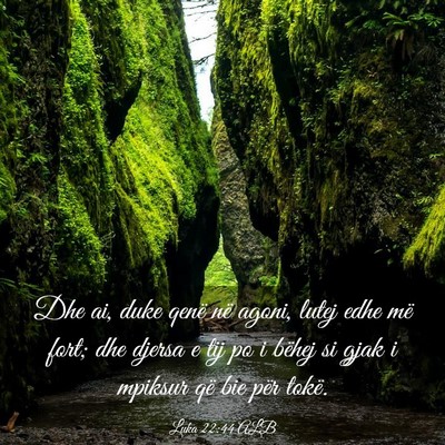 Picture 03 - Luka 22:44 ALB - Dhe ai, duke qenë në agoni, lutej edhe më - Bible Verse Picture