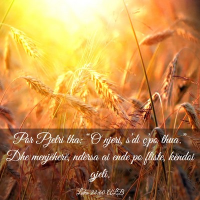 Picture 03 - Luka 22:60 ALB - Por Pjetri tha: “O njeri, s’di ç’po - Bible Verse Picture