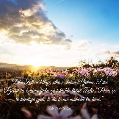 Picture 03 - Luka 22:61 ALB - Dhe Zoti u kthye, dhe e shikoi Pjetrin. Dhe - Bible Verse Picture