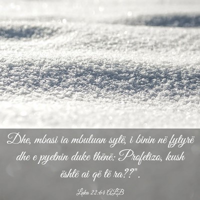Picture 03 - Luka 22:64 ALB - Dhe, mbasi ia mbuluan sytë, i binin në fytyrë - Bible Verse Picture