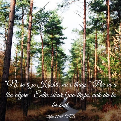 Picture 03 - Luka 22:67 ALB - “Në se ti je Krishti, na e thuaj.” Por ai u - Bible Verse Picture