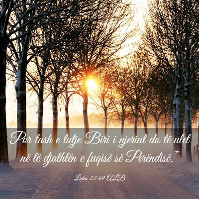 Picture 03 - Luka 22:69 ALB - Por tash e tutje Biri i njeriut do të ulet në - Bible Verse Picture