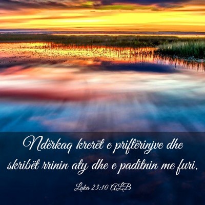 Picture 03 - Luka 23:10 ALB - Ndërkaq krerët e priftërinjve dhe skribët - Bible Verse Picture