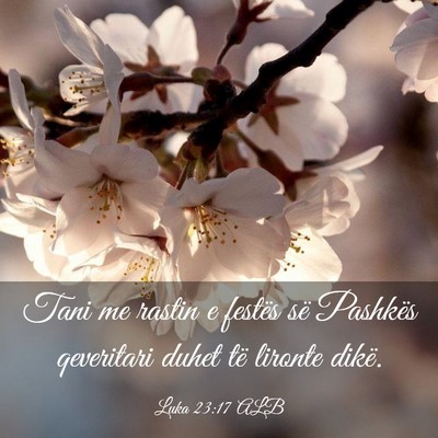 Picture 03 - Luka 23:17 ALB - Tani me rastin e festës së Pashkës qeveritari - Bible Verse Picture