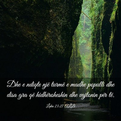 Picture 03 - Luka 23:27 ALB - Dhe e ndiqte një turmë e madhe populli dhe disa - Bible Verse Picture