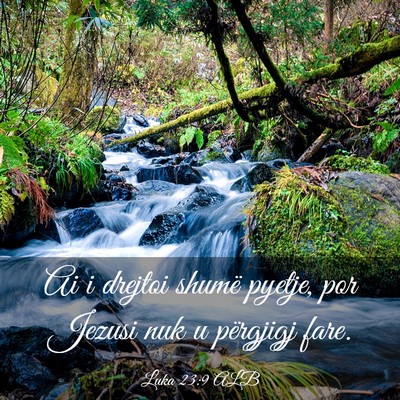 Picture 03 - Luka 23:9 ALB - Ai i drejtoi shumë pyetje, por Jezusi nuk u - Bible Verse Picture