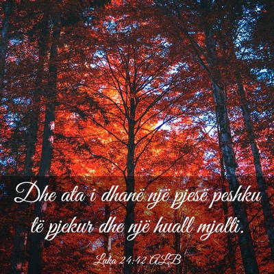 Picture 03 - Luka 24:42 ALB - Dhe ata i dhanë një pjesë peshku të pjekur - Bible Verse Picture