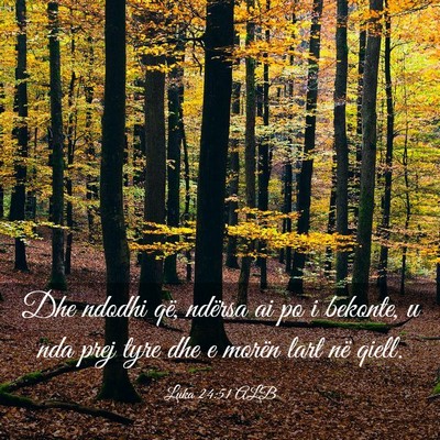 Picture 03 - Luka 24:51 ALB - Dhe ndodhi që, ndërsa ai po i bekonte, u nda - Bible Verse Picture