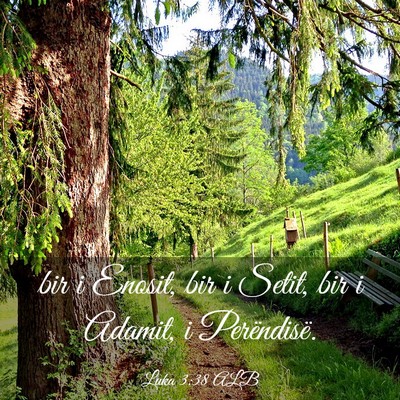 Picture 03 - Luka 3:38 ALB - bir i Enosit, bir i Setit, bir i Adamit, i - Bible Verse Picture