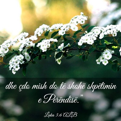 Picture 03 - Luka 3:6 ALB - dhe çdo mish do të shohë shpëtimin e - Bible Verse Picture