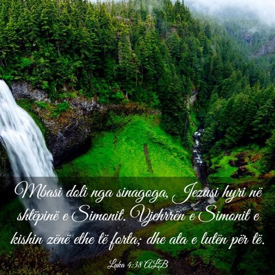 Picture 03 - Luka 4:38 ALB - Mbasi doli nga sinagoga, Jezusi hyri në - Bible Verse Picture