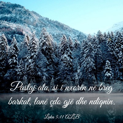 Picture 03 - Luka 5:11 ALB - Pastaj ata, si i nxorën në breg barkat, lanë - Bible Verse Picture