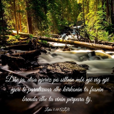Picture 03 - Luka 5:18 ALB - Dhe ja, disa njerëz po sillnin mbi një vig një - Bible Verse Picture