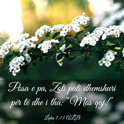 Picture 03 - Luka 7:13 ALB - Posa e pa, Zoti pati dhemshuri për të dhe i - Bible Verse Picture