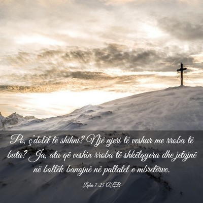 Picture 03 - Luka 7:25 ALB - Po, ç’dolët të shihni? Një njeri të veshur - Bible Verse Picture
