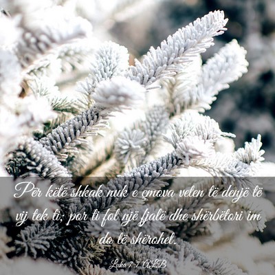 Picture 03 - Luka 7:7 ALB - Për këtë shkak nuk e çmova veten të denjë - Bible Verse Picture