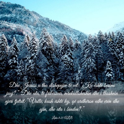 Picture 03 - Luka 8:25 ALB - Dhe Jezusi u tha dishepujve të vet: “Ku - Bible Verse Picture