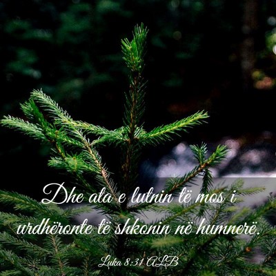 Picture 03 - Luka 8:31 ALB - Dhe ata e lutnin të mos i urdhëronte të - Bible Verse Picture