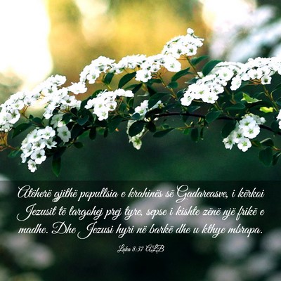 Picture 03 - Luka 8:37 ALB - Atëherë gjithë popullsia e krahinës së - Bible Verse Picture