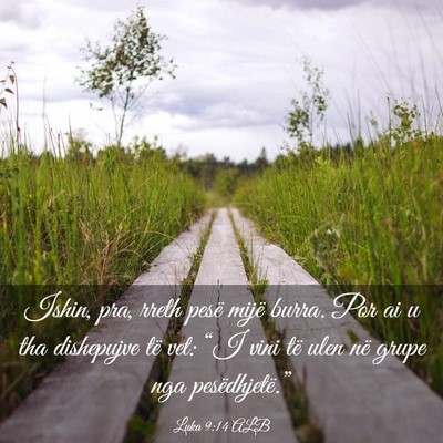 Picture 03 - Luka 9:14 ALB - Ishin, pra, rreth pesë mijë burra. Por ai u tha - Bible Verse Picture