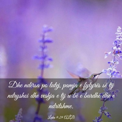 Picture 03 - Luka 9:29 ALB - Dhe ndërsa po lutej, pamja e fytyrës së tij - Bible Verse Picture