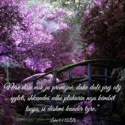 Picture 03 - Luka 9:5 ALB - Nëse disa nuk ju pranojnë, duke dalë prej atij - Bible Verse Picture