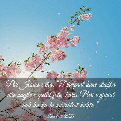 Picture 03 - Luka 9:58 ALB - Por Jezusi i tha: “Dhelprat kanë strofka dhe - Bible Verse Picture