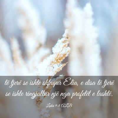 Picture 03 - Luka 9:8 ALB - të tjerë se ishte shfaqur Elia, e disa të - Bible Verse Picture
