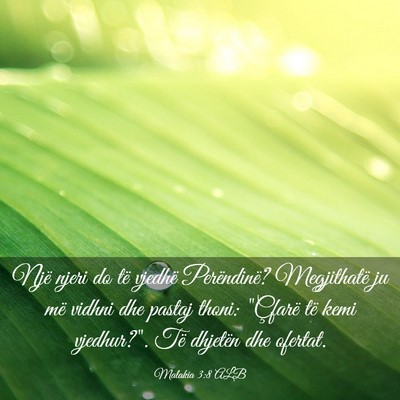 Picture 03 - Malakia 3:8 ALB - Një njeri do të vjedhë Perëndinë? - Bible Verse Picture