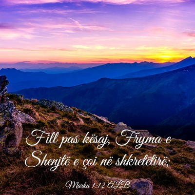 Picture 03 - Marku 1:12 ALB - Fill pas kësaj, Fryma e Shenjtë e çoi në - Bible Verse Picture