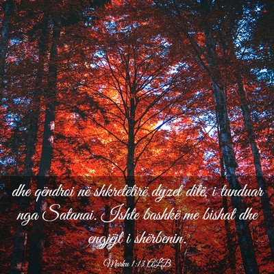 Picture 03 - Marku 1:13 ALB - dhe qëndroi në shkretëtirë dyzet ditë, i - Bible Verse Picture